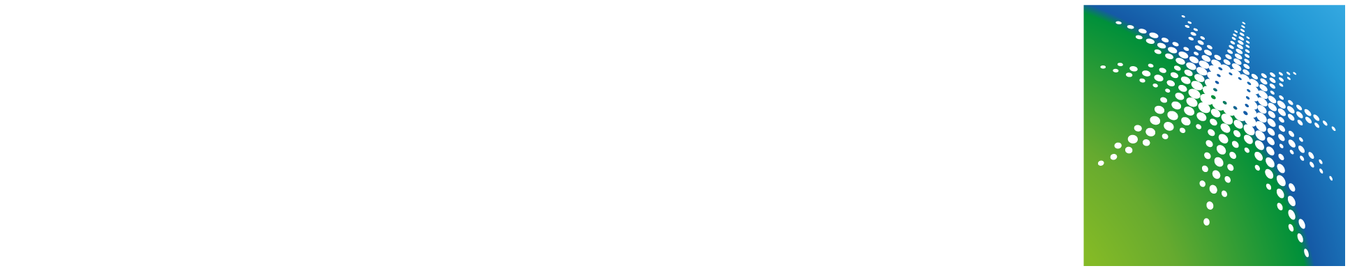 Aramco Approved Vendor